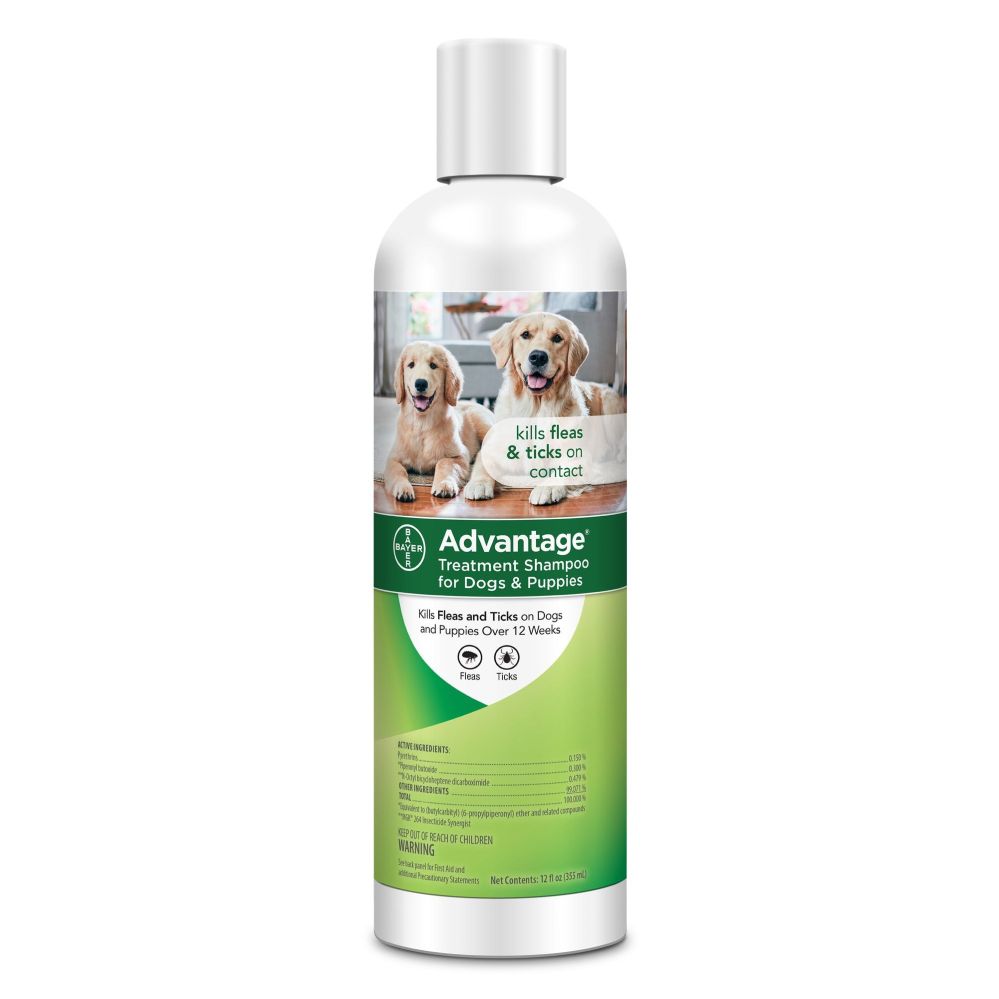 ≡ Best Shampoo for Shih Tzu 11 Best Dog Shampoos for Shih Tzu Review