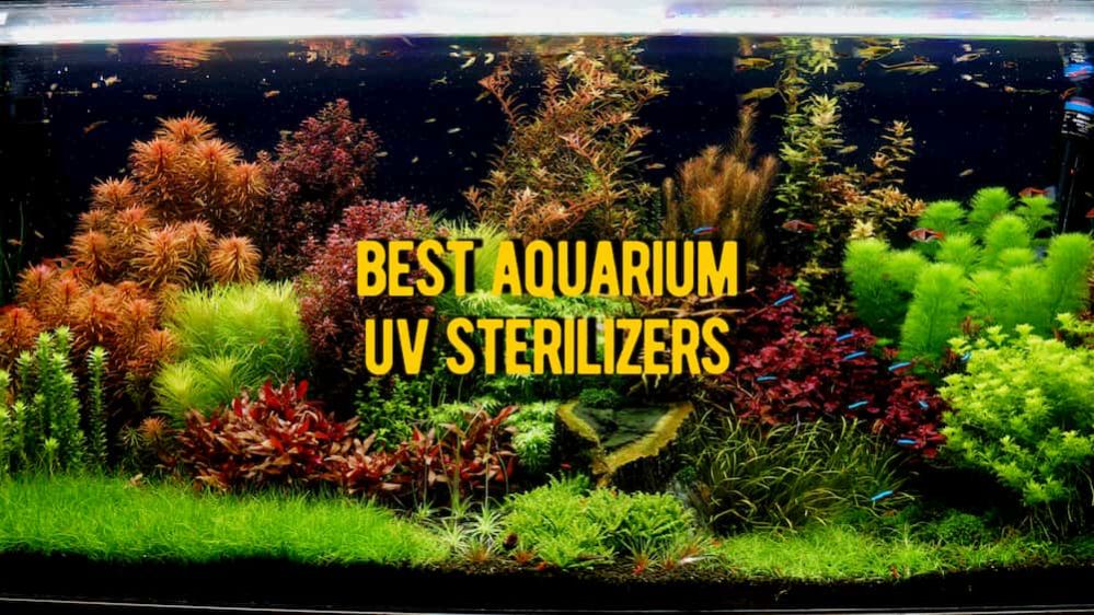 ᐉ Best Aquarium UV Sterilizer 10 UV Aquarium Sterilizers Reviews