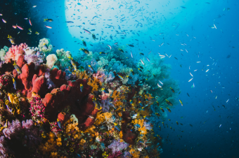 View of Aquarium Maintenance Mistakes - Common Aquarium Mistakes to Avoid