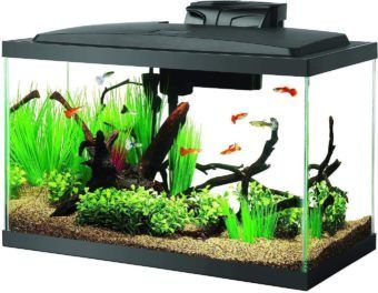 Best Fish Tank: The 15 Best Rated Aquarium Kits for Home Reviews