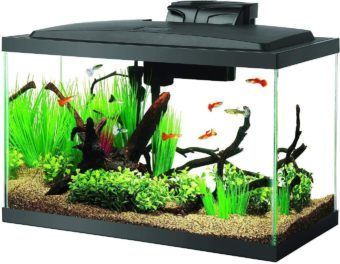 aqueon led fish aquarium starter kit