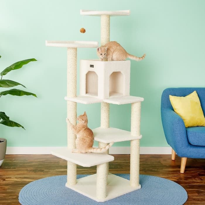 ᐉ Best Cat Trees TOP 10 Rated Trees for Cats (Reviews)