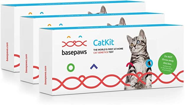 basepaws breed plus health dna test