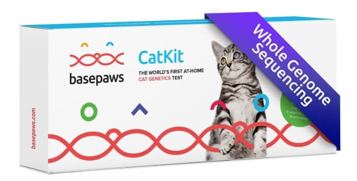 basepaws whole genome sequencing