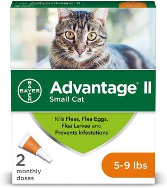 bayer advantage II flea prevention for cats
