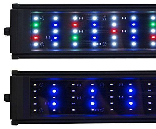 beamswork da fspec led aquarium light pent freshwater