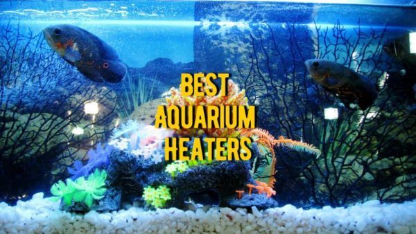 best aquarium heaters