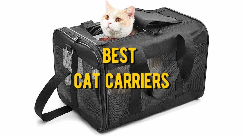 ≡ Best Cat Carriers TOP Rated Pet Carriers for Cats Reviews