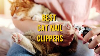 Best Cat Nail Clippers: 10 Nail Clippers And Trimmers For Cats Reviews