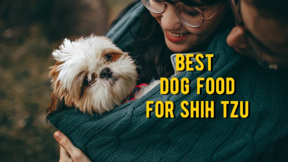 The Best Dog Food for Shih Tzu: 10 Recommended Food for Shih Tzu