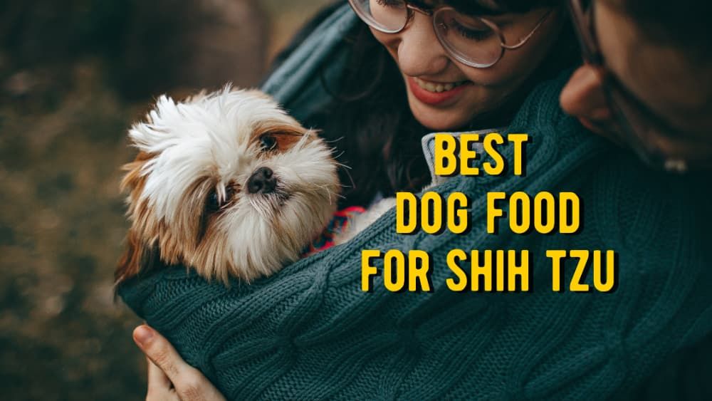 The Best Dog Food for Shih Tzu (Vet Approved Review)