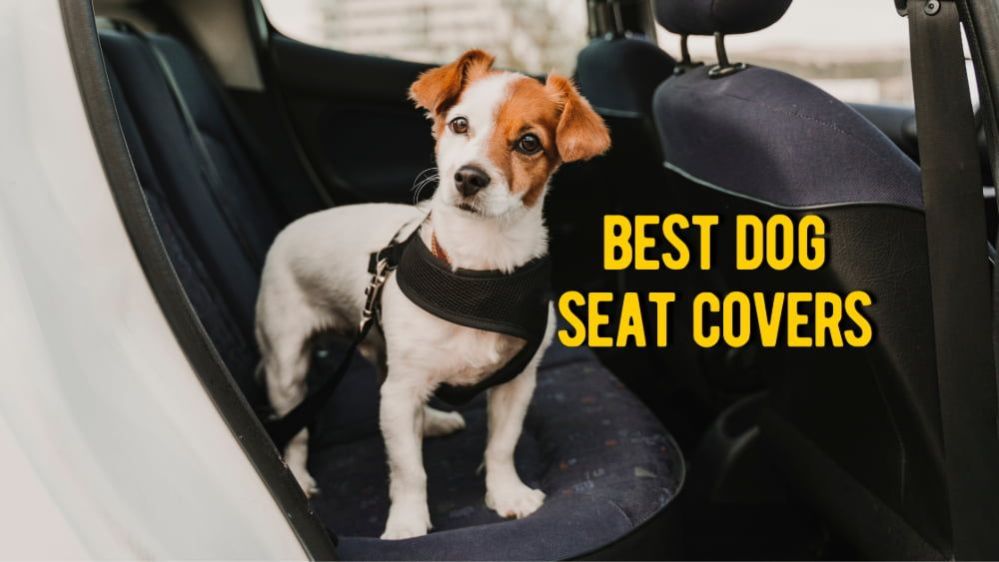 ᐉ Best Dog Seat Cover: TOP Car Seat Covers for Dogs Review