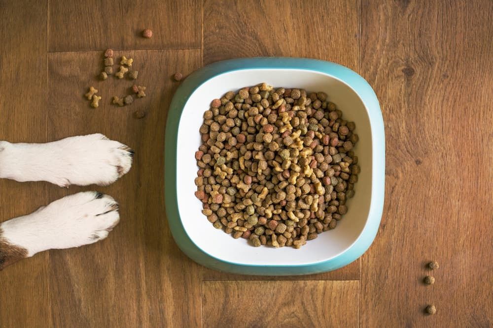 Best Dry Dog Food [TOP25] Dry Foods for Dogs Reviews