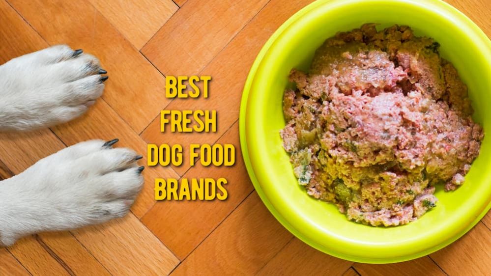 Best Fresh Dog Food Delivery Services Refrigerated Dog Food Brands