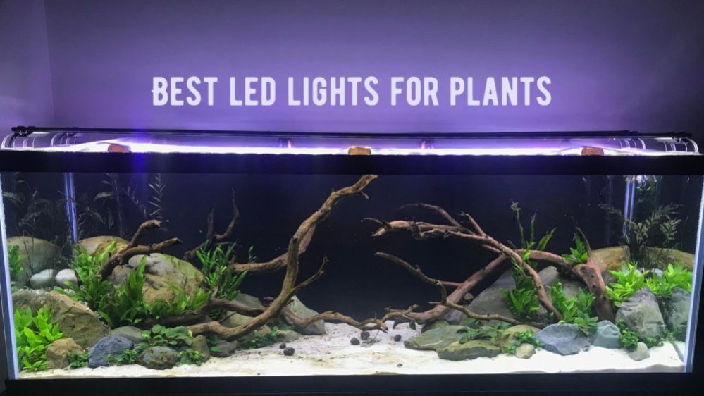 best led lights for a reef tank