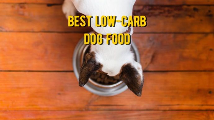 best low carb dog food