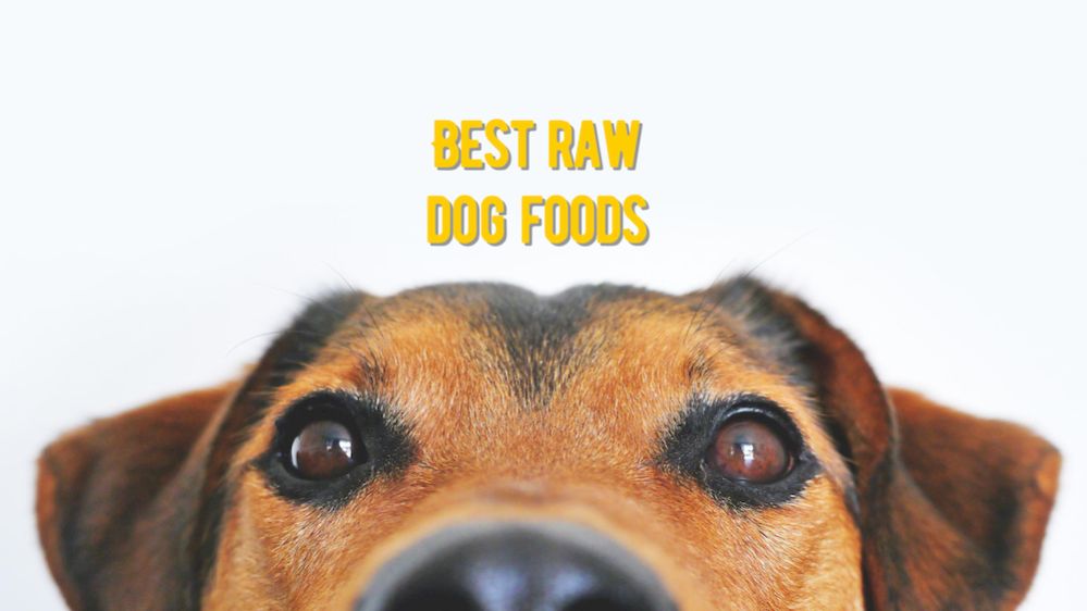Best Raw Dog Food The 20 Best Raw Foods for Dogs (Vet Reviews)