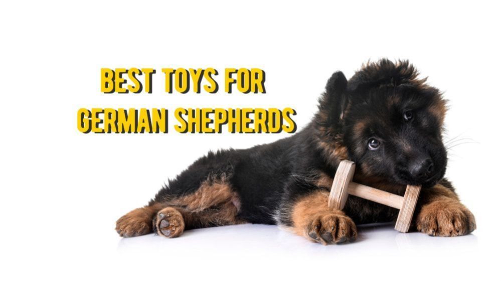 Best Toys for German Shepherd TOP Toys for German Shepherds Dogs
