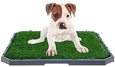 bingpet dog grass training potty pad