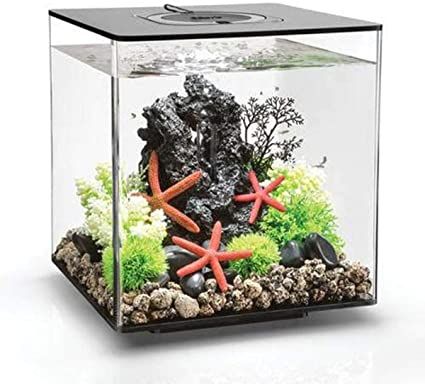 biorb cube 30 aquarium with led
