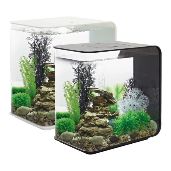 biorb flow aquarium