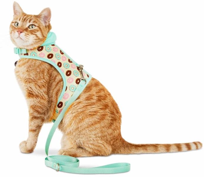ᐉ Best Cat Harness 10 Best Harnesses and Leashes for Cats Reviews