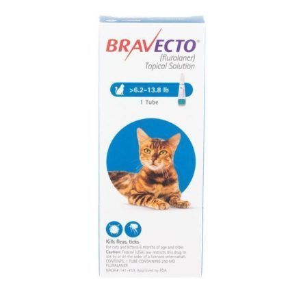 bravecto topical for cats
