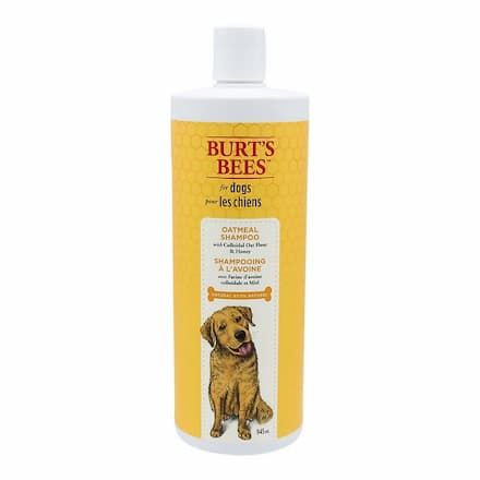 burts bees oatmeal dog shampoo