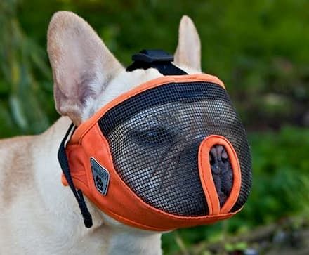 canine friendly short snout dog muzzle