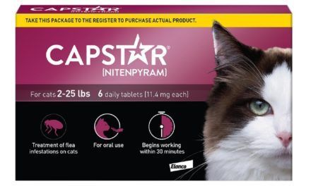 capstar flea tablets for cats