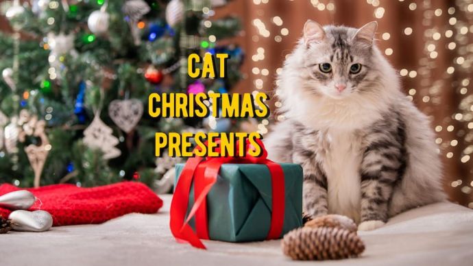 cat christmas presents