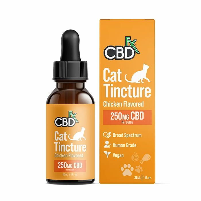 cbd oil cat tincture