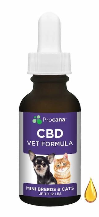 procana cbd oil tinctures for dogs and cats mini breed