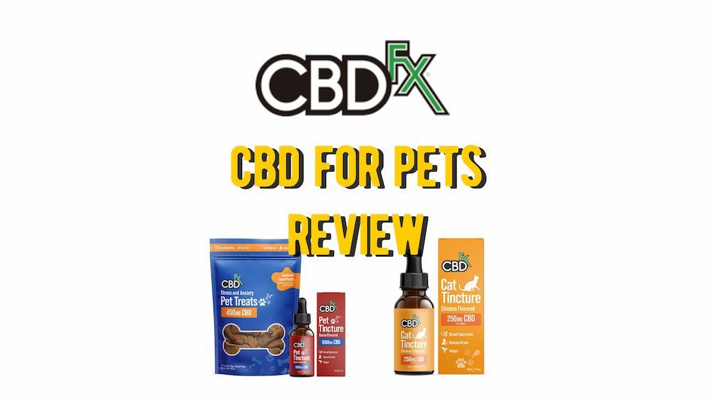 cbdfx for pets review
