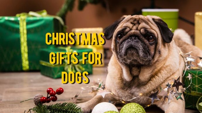 christmas gifts for dog