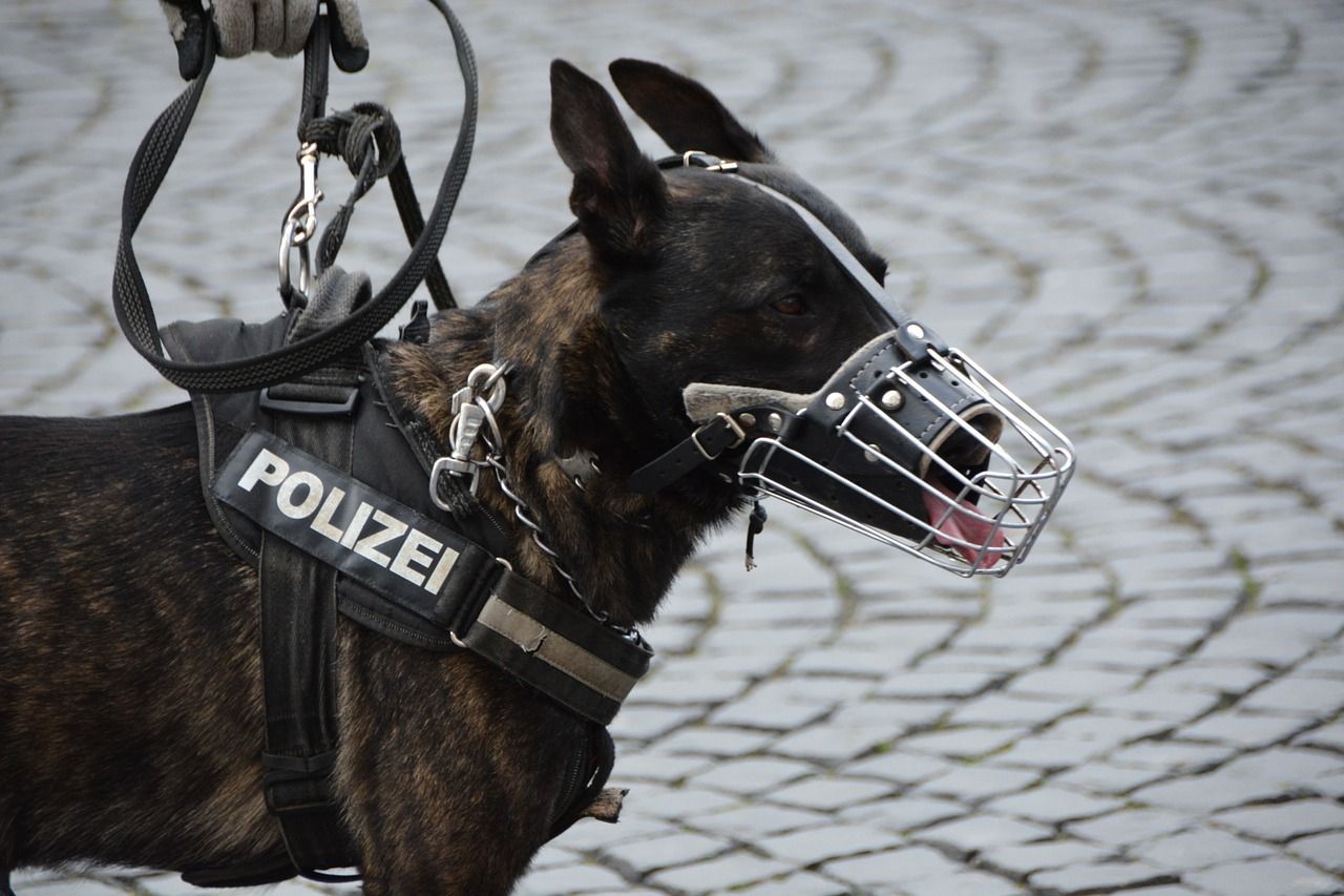 cool police dog names