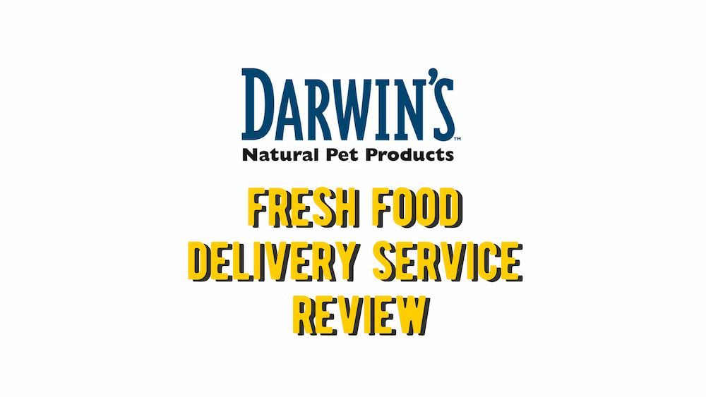 Darwin's Pet Food Delivery Service Review (Vet Approved)
