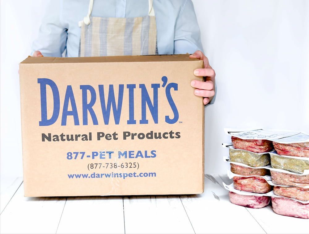 darwin's raw cat food price