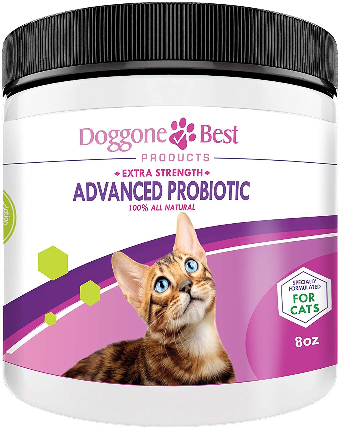 Best Probiotics for Cats [TOP10] Best Cat Probiotics