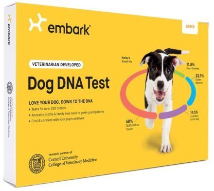 embark breed identification kit