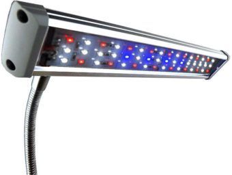 Finnex Fugeray planted+ aquarium led light plus moonlights cliplight