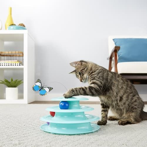 frisco butterfly cat tracks cat toy