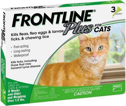 frontline plus flea and tick treatment for cats