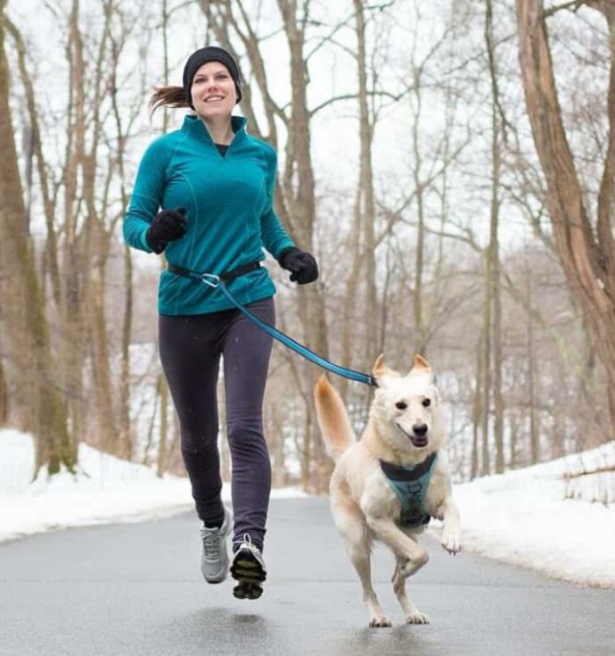 ᐉ Best Leash for Pitbull TOP Rated 10 Leashes for Pitbulls Reviews