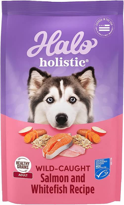 halo holistic dog food wild-caught salmon and Whitefish