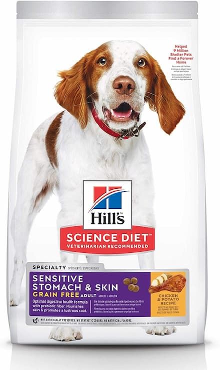 hills science diet adult sensitive stomach dry dog food