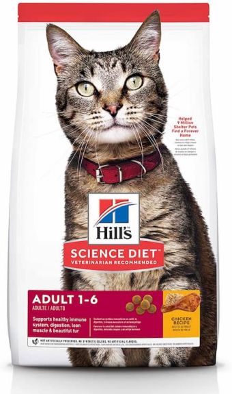 Best Dry Cat Food: Top Vet Recommended Dry Foods For Cats