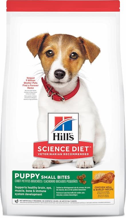 hills science diet puppy healthy development small bites dry dog food