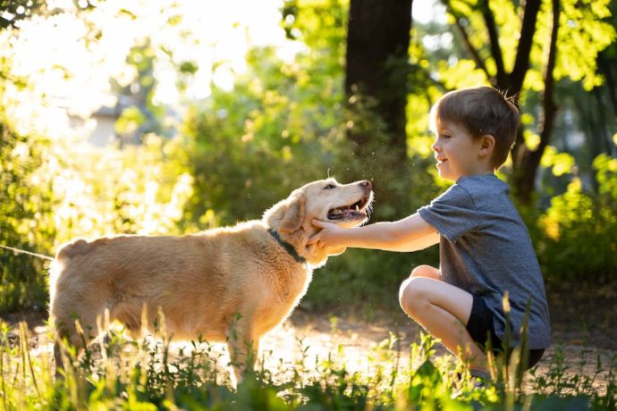 Signs Your Dog Loves You: Way Dogs Show They Love Us