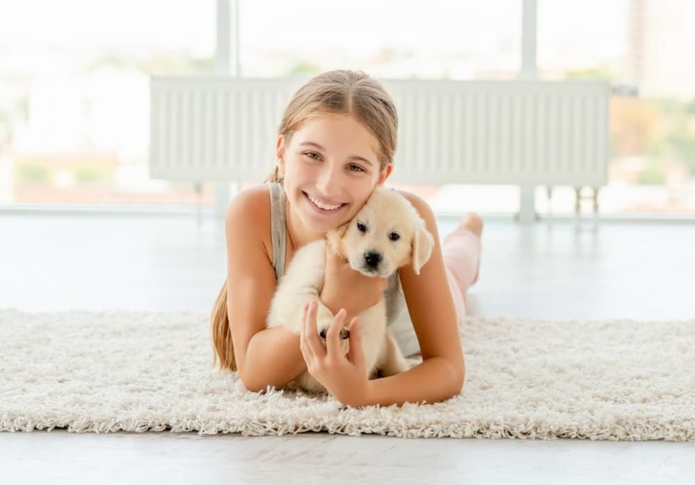 How much does it Cost to Adopt a Dog Cost of Owning a Dog